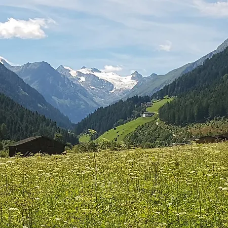 Apartman Griesshof Neustift im Stubaital